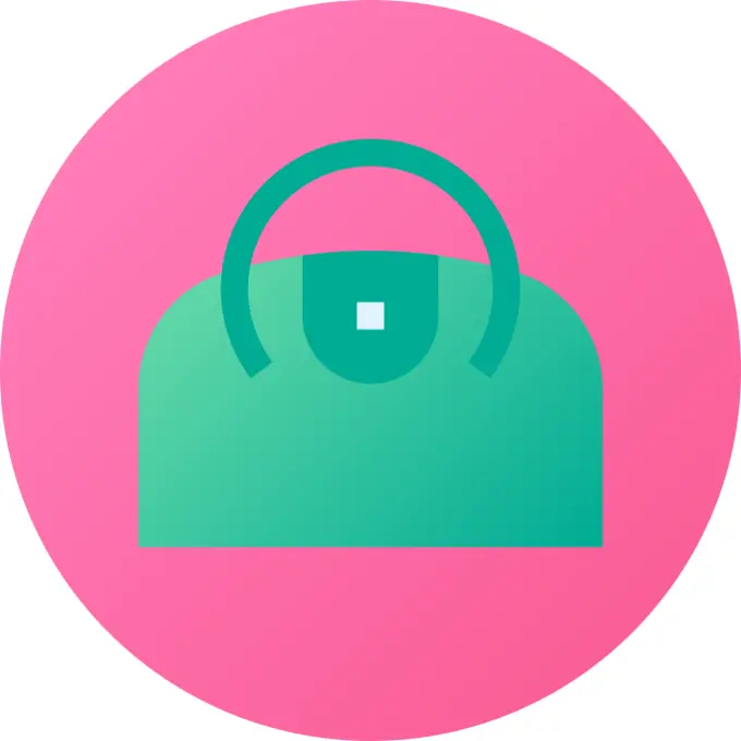 Handbag