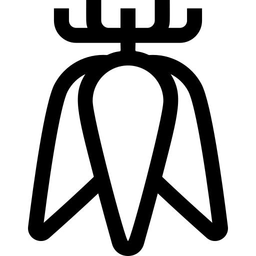 块根