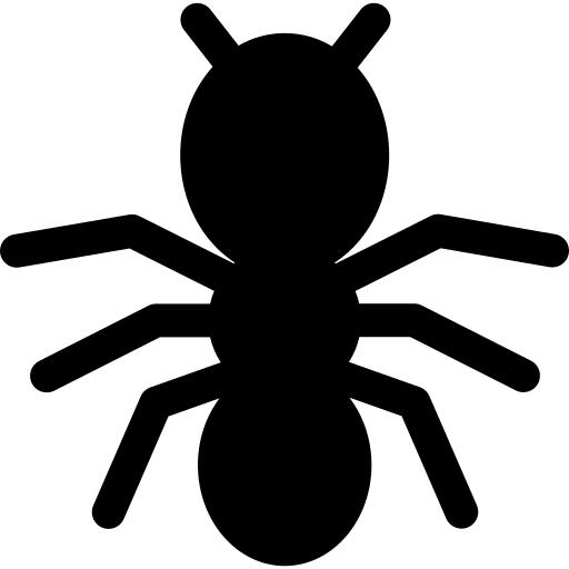 Ant