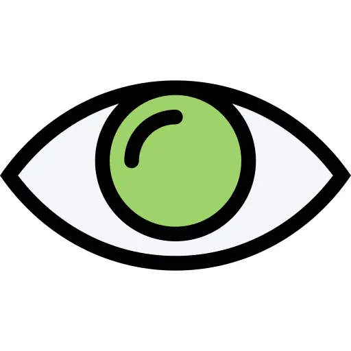 Eye