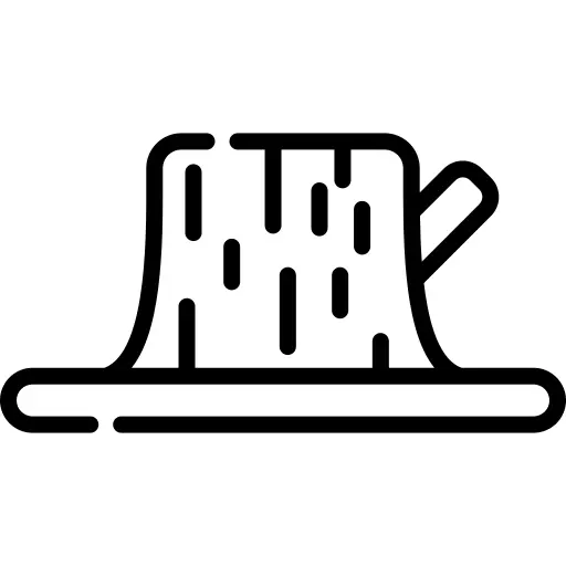 日志