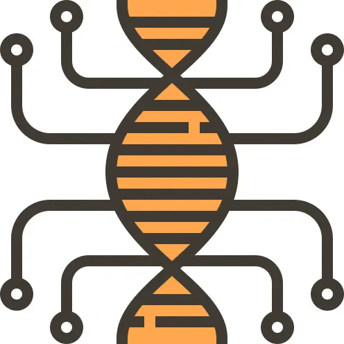 Dna