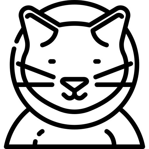 猫