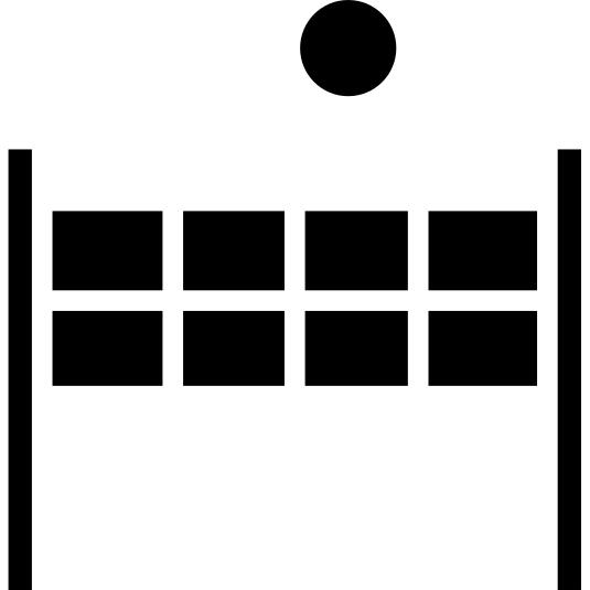 Volley net