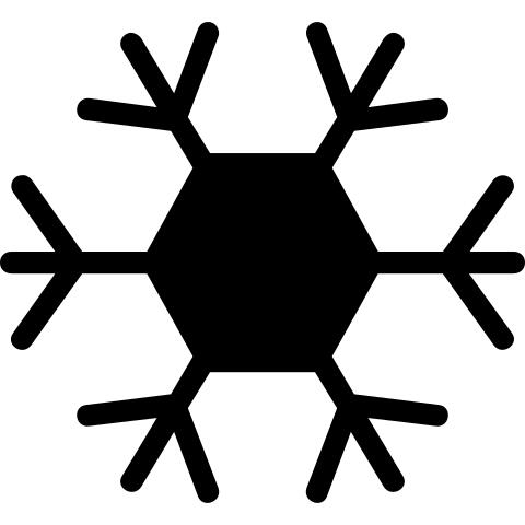 雪花