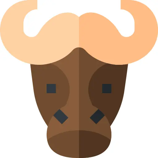Bison