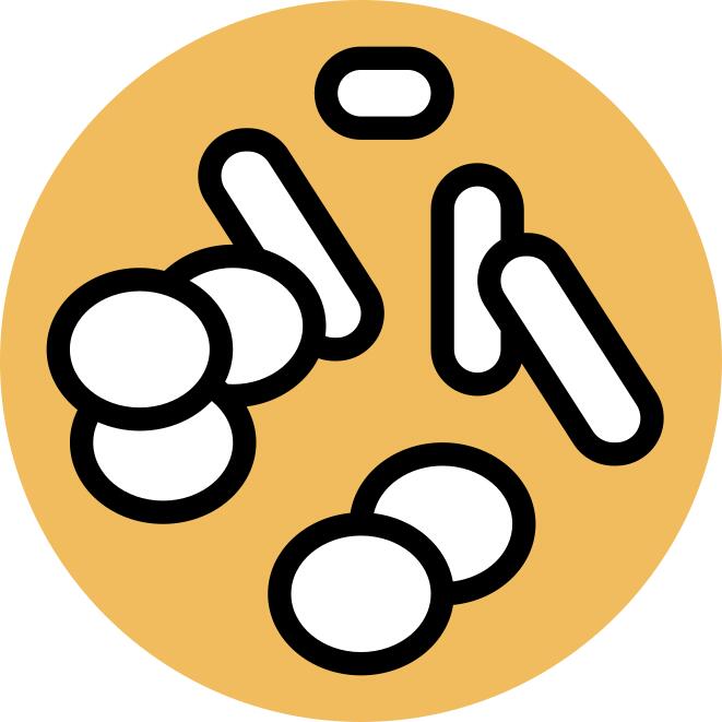 Chromosome