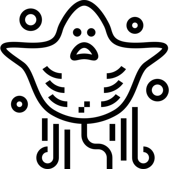 黄貂鱼