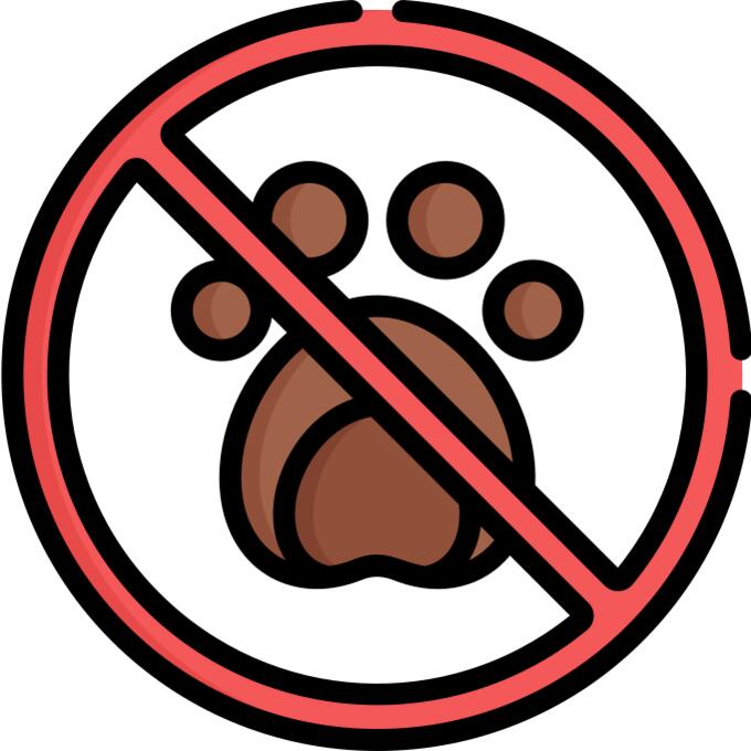 No animals