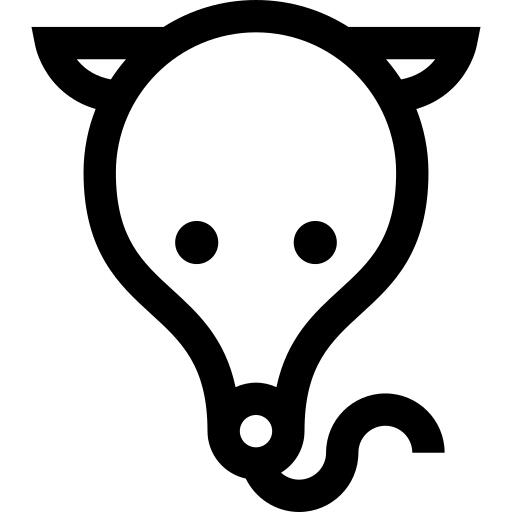 Anteater
