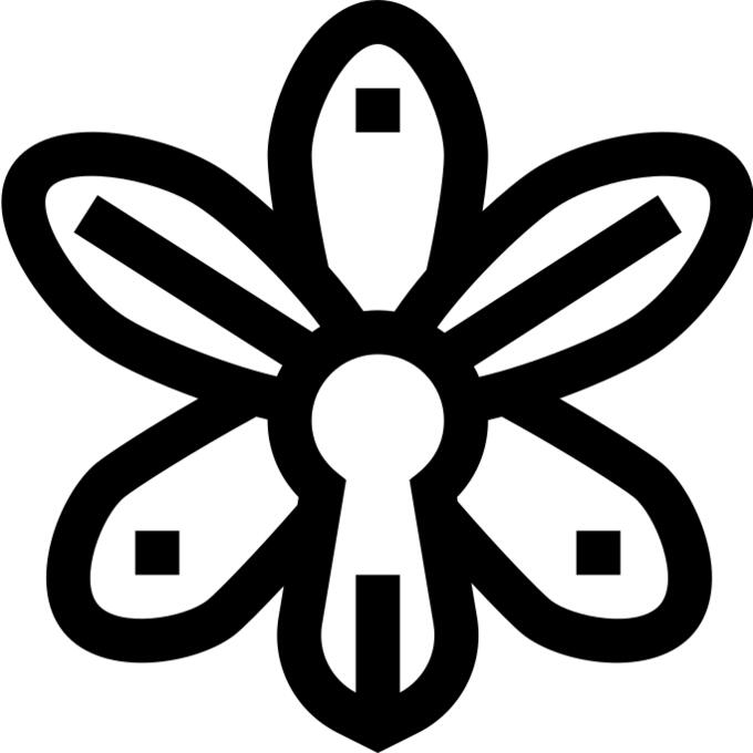 兰花