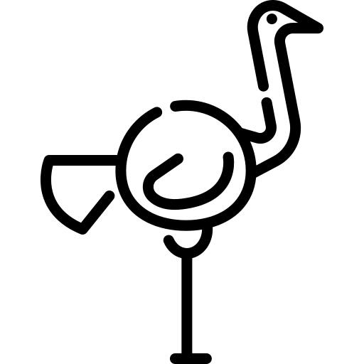 Ostrich