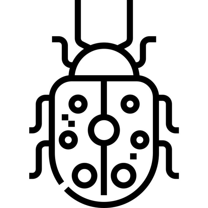 甲虫