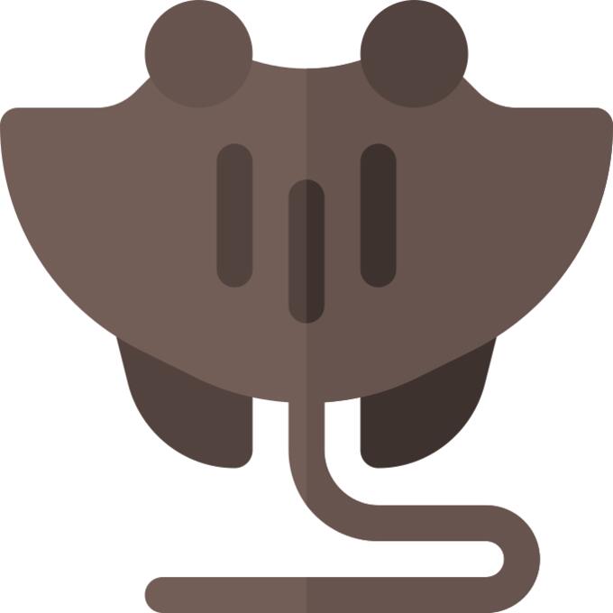 Manta ray