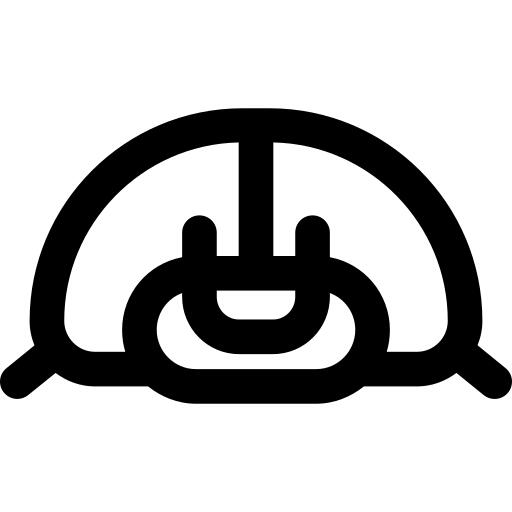甲虫