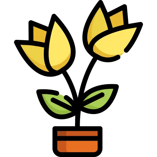 花卉