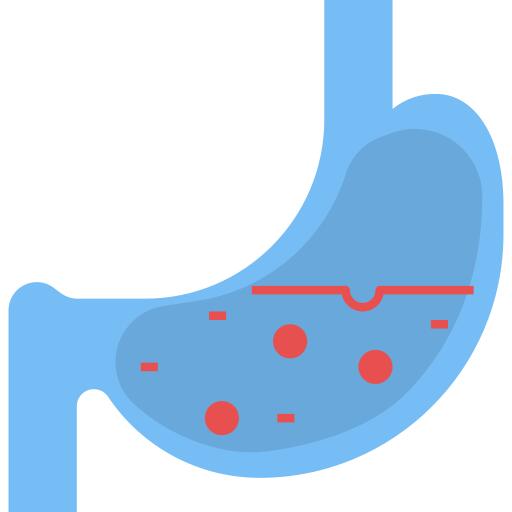 Stomach