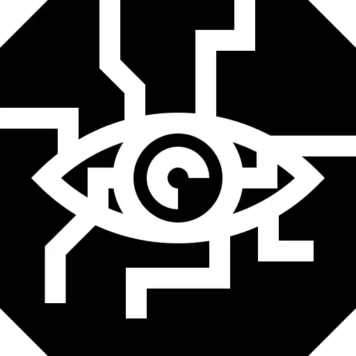 Biometric identification