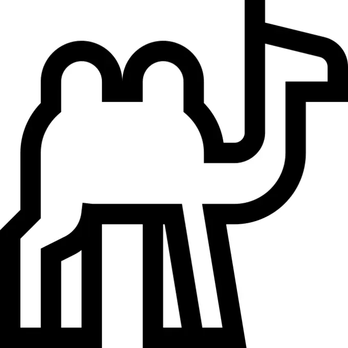 Dromedary