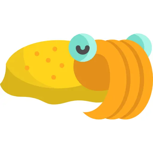 Cuttlefish