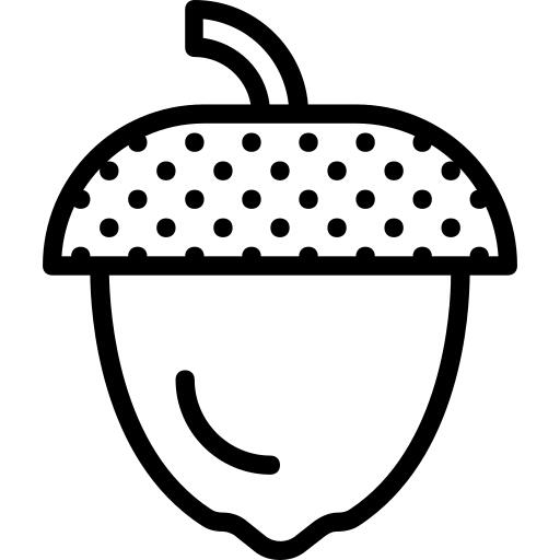 Acorn