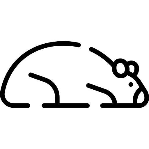 Hamster