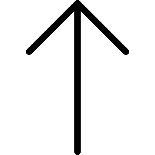 向上