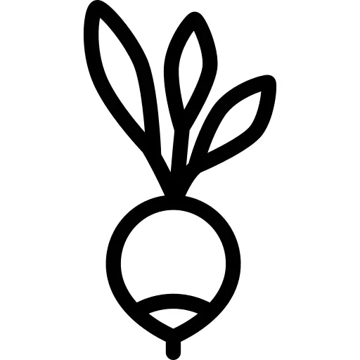 Radish