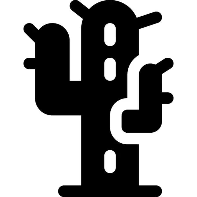 Cactus