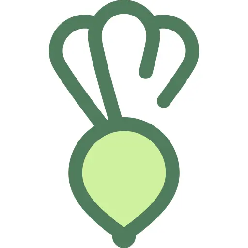 Radish