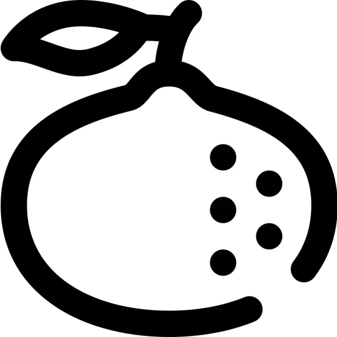 橙子