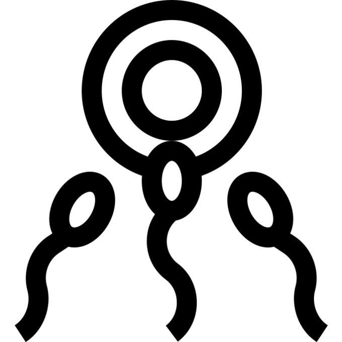 Reproductive