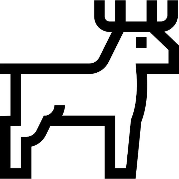 Deer