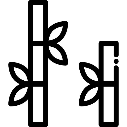 Bamboo