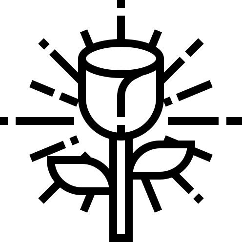 Catalog