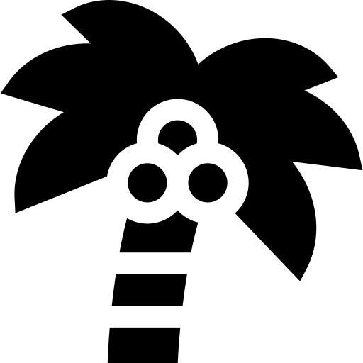 Coconut tree