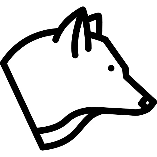 狐狸