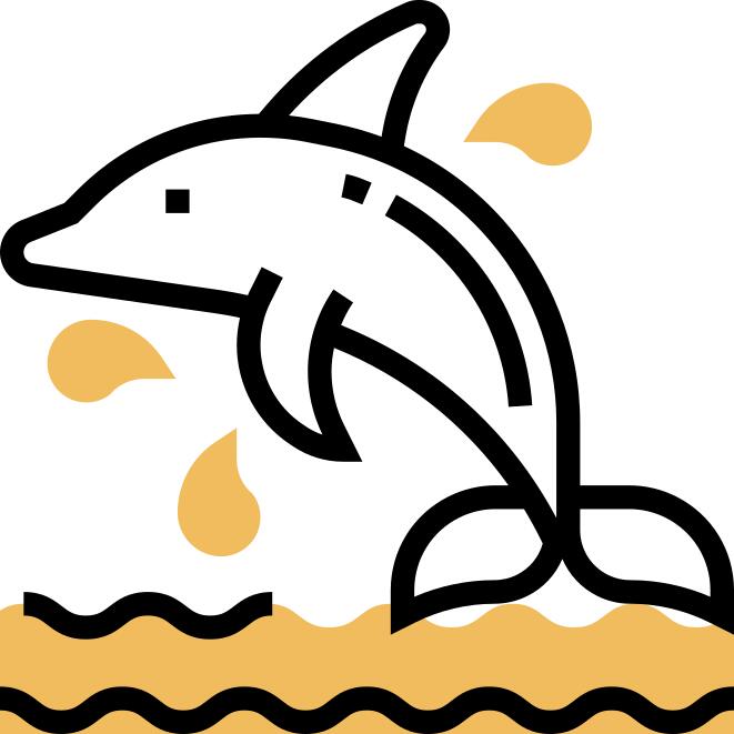 Dolphin