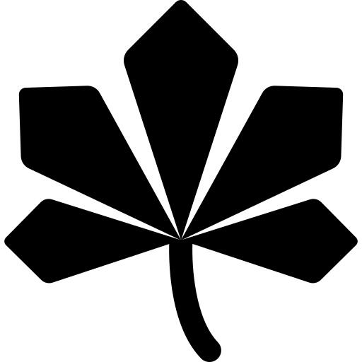 枫叶