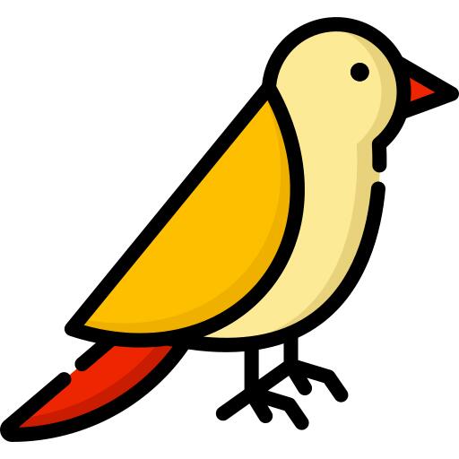 鸟