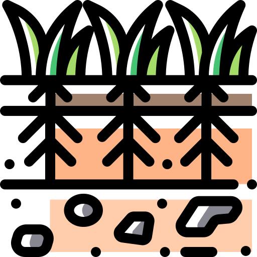 植物