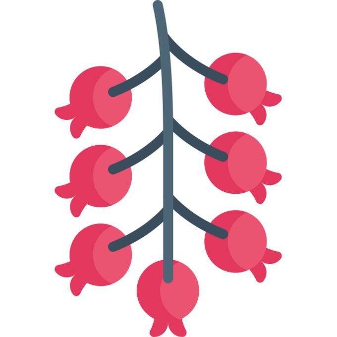 Berries