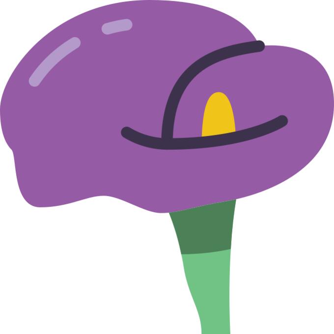Arum