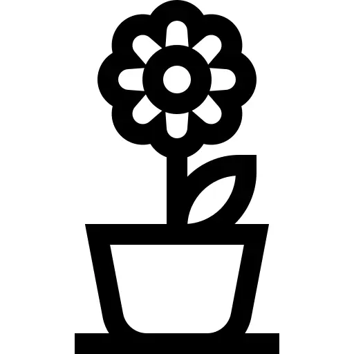 花盆