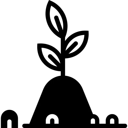 Sprout