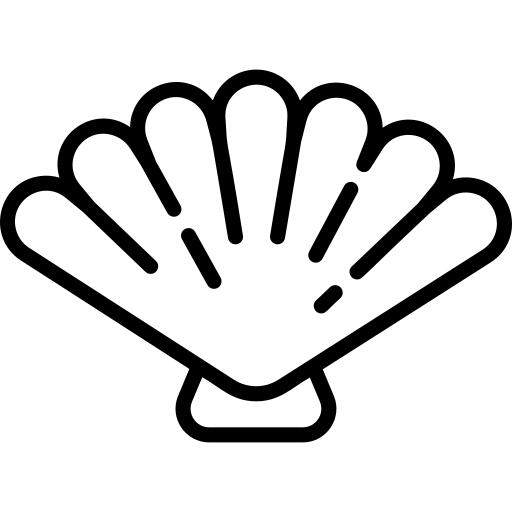 Shell