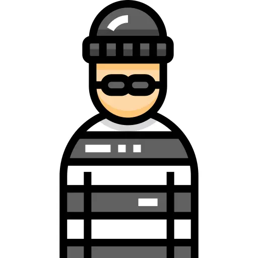 Burglar