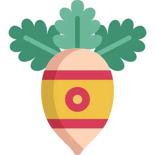 Radish