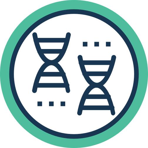 Dna