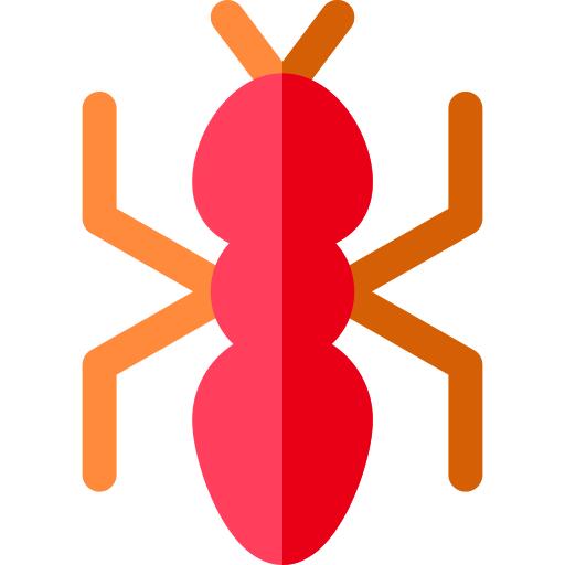 Ant